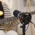 BOYA CastMic S60 USB & XLR RGB Dynamic Microphone, RGB & sound-reactive lighting for an immersive vibe, One-knob control for gain, volume, mix, and noise cancel - Black